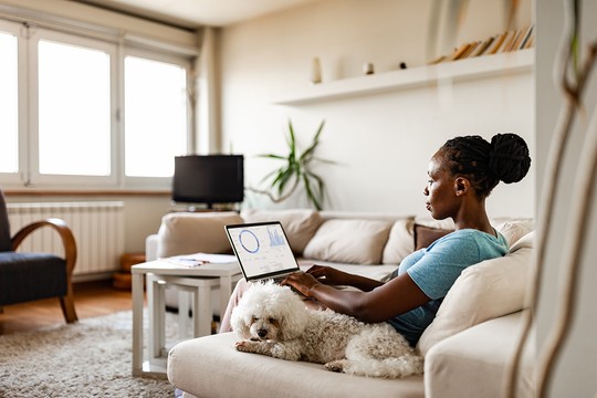 A woman sits on a couch with a laptop, typing while a small white dog relaxes beside her. The room features large windows, a TV, and a plant, creating a cozy atmosphere.