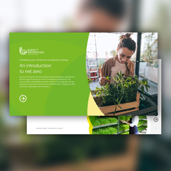 A woman smiles while holding a box of vibrant green plants indoors. The background features a bright, airy space with large windows, indicating a focus on climate sustainability. Text includes "An introduction to net zero" and details about climate risk m