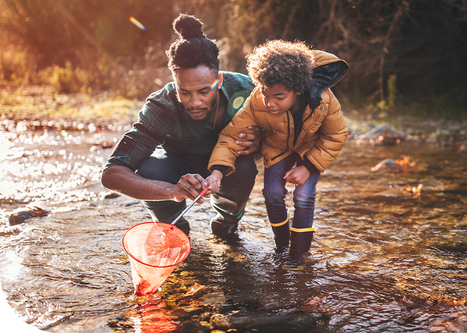 A man and a child are wading in a shallow stream, using a net to catch something. Sunlight filters through trees, casting a warm, golden glow on the water.