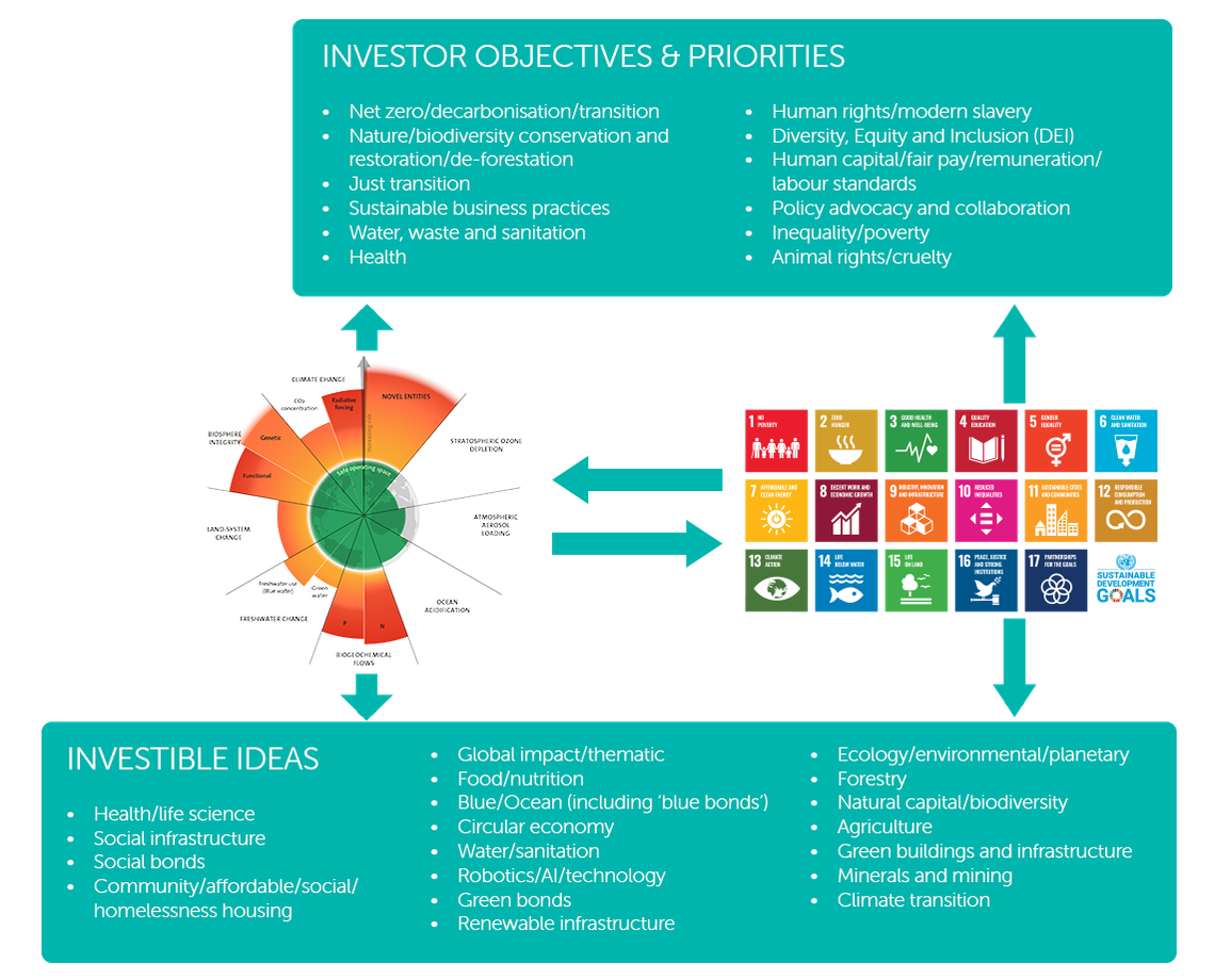 A colorful infographic outlines investor objectives and priorities, highlighting themes like sustainability and social impact. Surrounding icons represent the UN Sustainable Development Goals, emphasizing various global challenges to address.