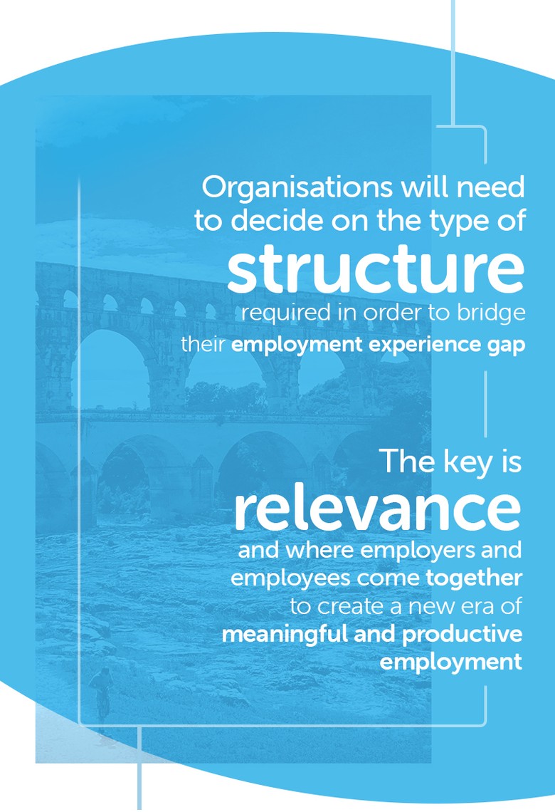 A bridge spans across a body of water, while text overlays the image discussing organizational structure, relevance, and bridging the employment experience gap. Key phrases emphasize engaging employers and employees for meaningful employment.