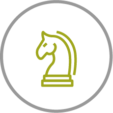 A stylized graphic of a knight chess piece is depicted, highlighted in green against a white background, enclosed in a circular outline.