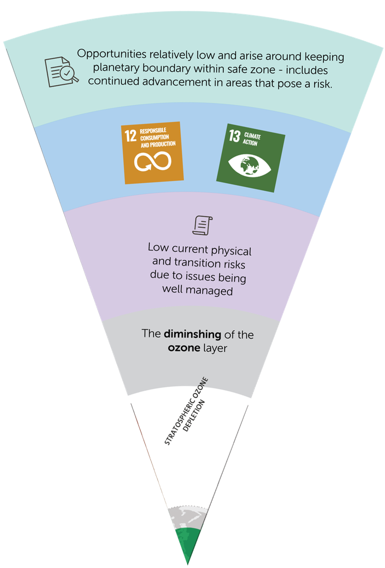 A circular infographic displays various sections highlighting environmental topics, such as responsible consumption and climate action. Text discusses ozone layer depletion, risks, and opportunities regarding planetary boundaries.