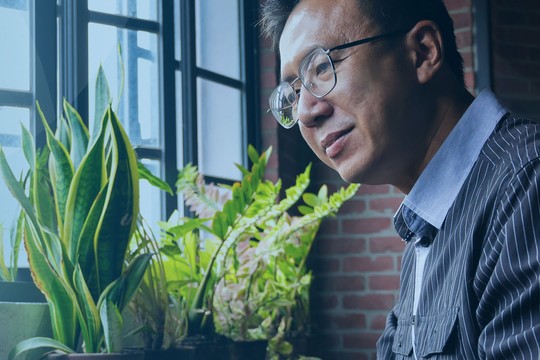 A man in a striped shirt is gazing thoughtfully out a window, surrounded by potted plants, in a well-lit room with brick walls, suggesting a calm indoor environment.