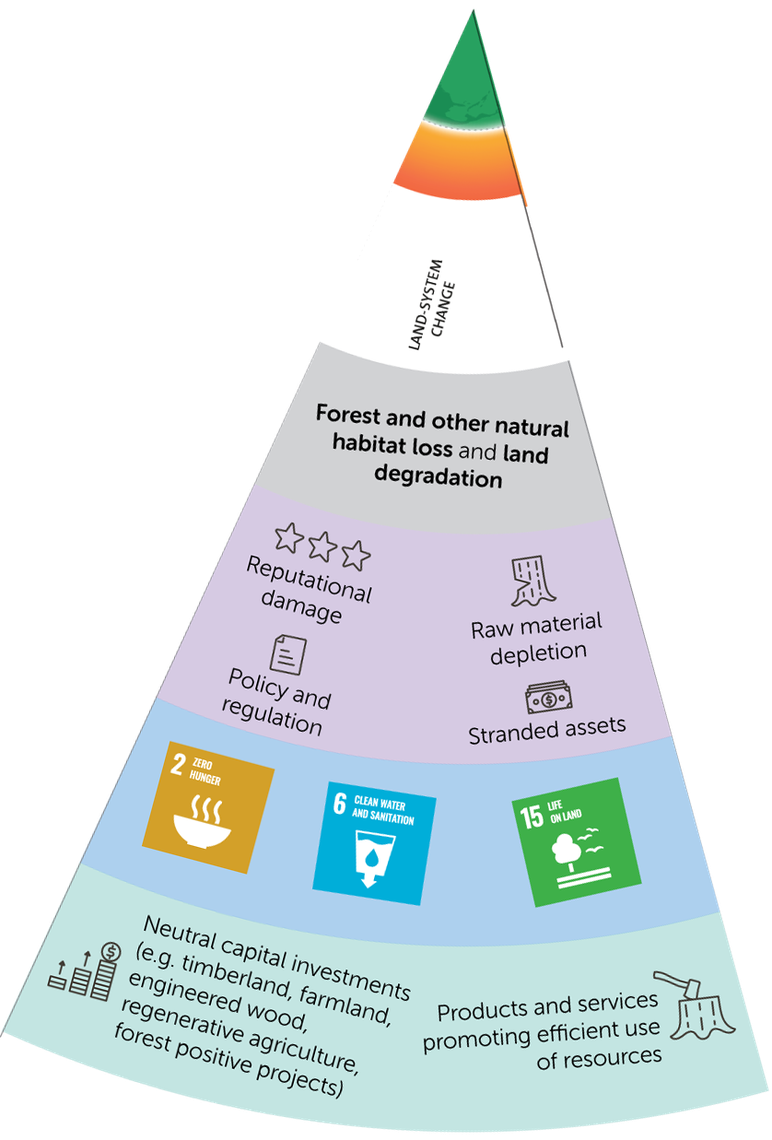 A colorful infographic illustrates issues related to land system change, including habitat loss. It highlights risks, mitigation strategies, and Sustainable Development Goals, featuring icons and brief descriptions associated with environmental impacts.