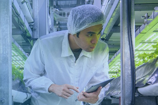 A person in protective clothing inspects plants in a vertical farming setup, using a tablet. Bright LED lights illuminate the rows of greenery in a controlled indoor environment.