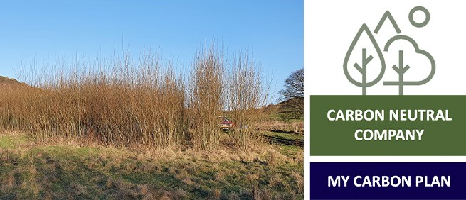 Tall, thin trees stand in a grassy field under a clear blue sky. A vehicle can be seen among the trees, suggesting maintenance or monitoring. 

Text: 
- "CARBON NEUTRAL COMPANY"
- "MY CARBON PLAN"