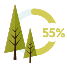 Two stylized trees are positioned, one larger and one smaller. A progress circle surrounding them indicates a completion level of 55%. The background is minimalistic and colorful.