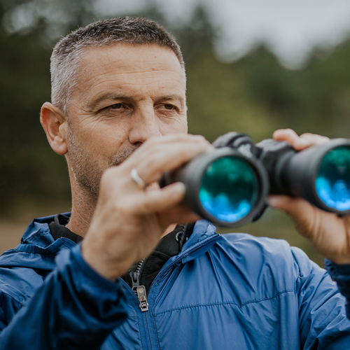 Default Investment Strategies in 2024