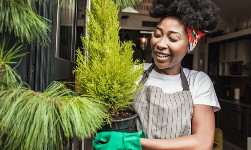 A woman with curly hair, wearing a striped apron and green gloves, smiles while holding a potted green plant, standing near a door with a warm interior background.