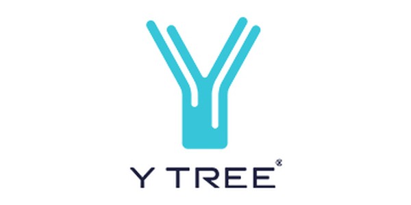 A turquoise logo features a stylized letter "Y" with branching lines above it, accompanied by the text "Y TREE" in a modern font below. The design suggests growth and innovation.