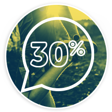 A person is stretching their leg while holding onto their sneaker, with sunlight filtering through trees in the background, suggesting a natural outdoor setting for exercise or relaxation.