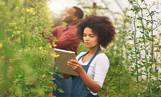 A woman with curly hair uses a tablet to check data while standing amidst tall green plants. A man in the background works among the plants in a greenhouse setting, illuminated by natural light.