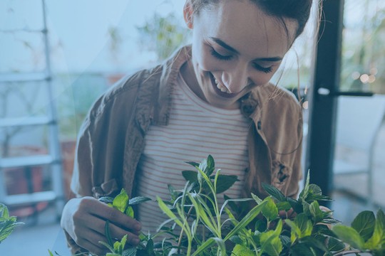 A woman tends to vibrant green plants, carefully adjusting them in a bright, airy room with natural light, a ladder, and decorative lights in the background.