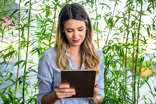 A woman holds a tablet, appearing focused as she interacts with it, surrounded by lush green bamboo plants in a bright, relaxed indoor setting.