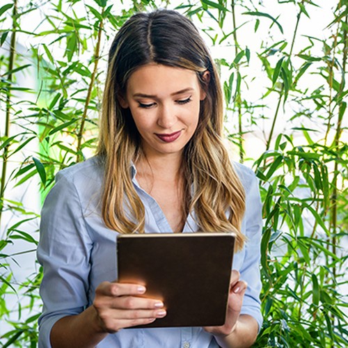 A woman holds a tablet, appearing focused as she interacts with it, surrounded by lush green bamboo plants in a bright, relaxed indoor setting.