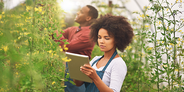 A woman with curly hair uses a tablet in a greenhouse filled with flowering plants, while a man in the background tends to the plants, focusing on their care.