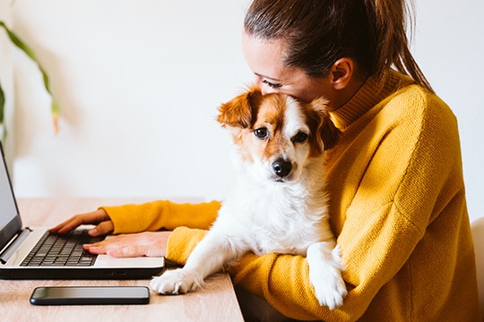 A woman in a yellow sweater sits at a table, typing on a laptop with a small dog cradled in her arms, surrounded by a minimalistic, bright environment featuring a plant.