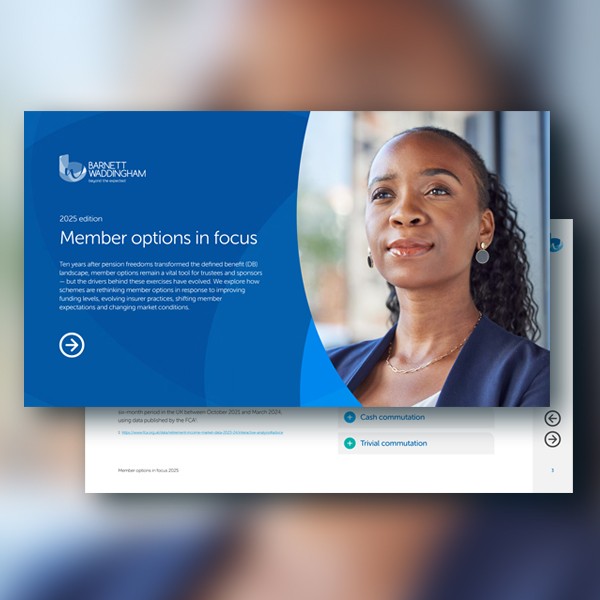 Download the briefing